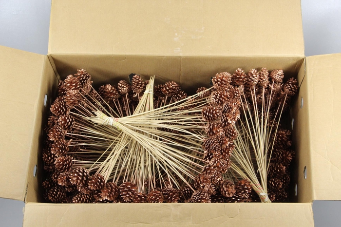 <h4>Stick Pine Cone Copper</h4>