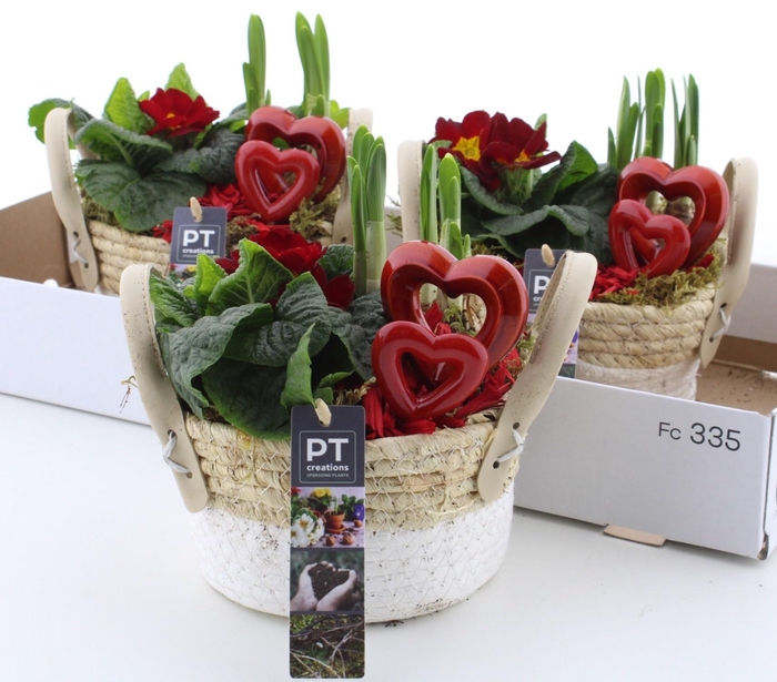 <h4>ARR PL IN SCHAAL</h4>