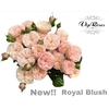 R TR ROYAL BLUSH (vd Hulst)