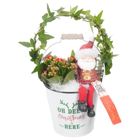 BMXM3406 ARRANGEMENT KERST BY MARLE