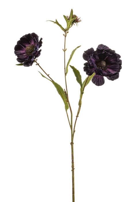 <h4>Aster spray purple 76cm</h4>