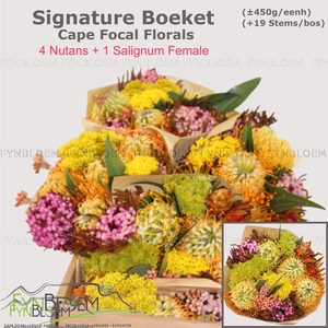PROTEA PER BOS
