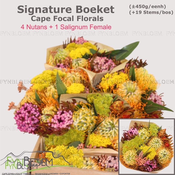 <h4>PROTEA PER BOS</h4>