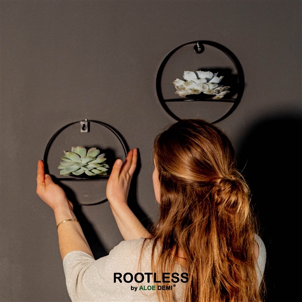 <h4>ROOTLESS Echeveria, Black metal for wall</h4>