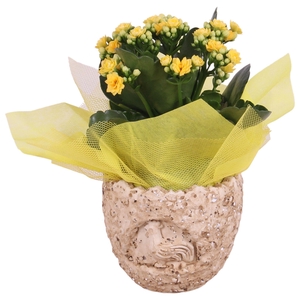 Easter Arr. Indoor Ceramic Lavastone Egg Chicken ReliefØ12cm 1PP