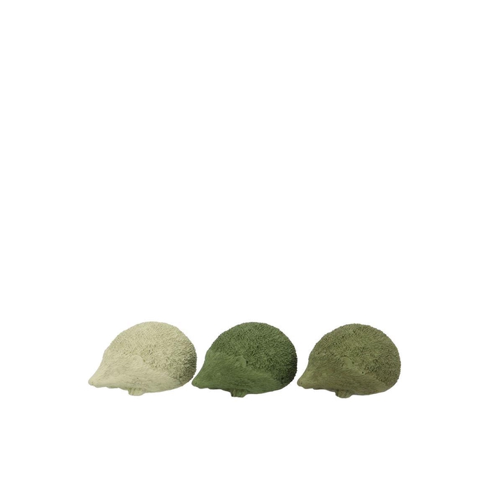 <h4>Hedgehog Green Mix Polystone Ass 9x6x4cm Nm</h4>
