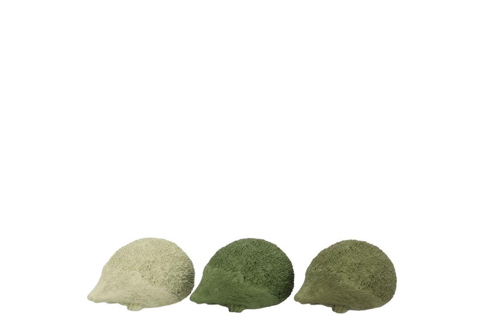 Hedgehog Green Mix Polystone Ass 9x6x4cm Nm