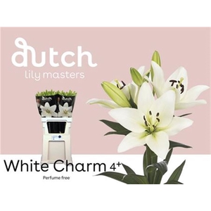 Li La White Charm