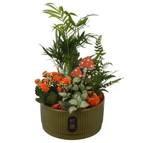 <h4>PTHI3223 Arrangement Autumn Indoor in keramiek schaal</h4>