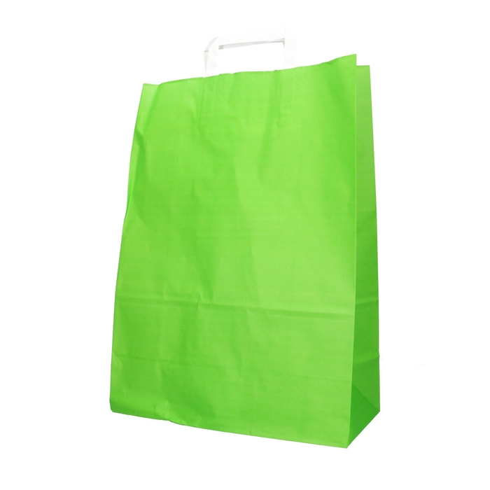 <h4>Bags Paper 32/15*43cm</h4>