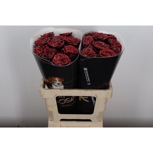 R Wx (rn) Rood Glitter