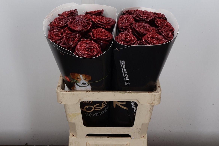 <h4>R Wx (rn) Rood Glitter</h4>