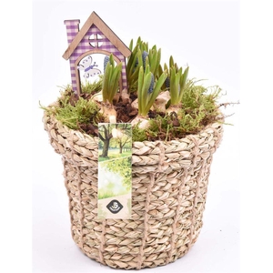 Touwmand met rand 17cm