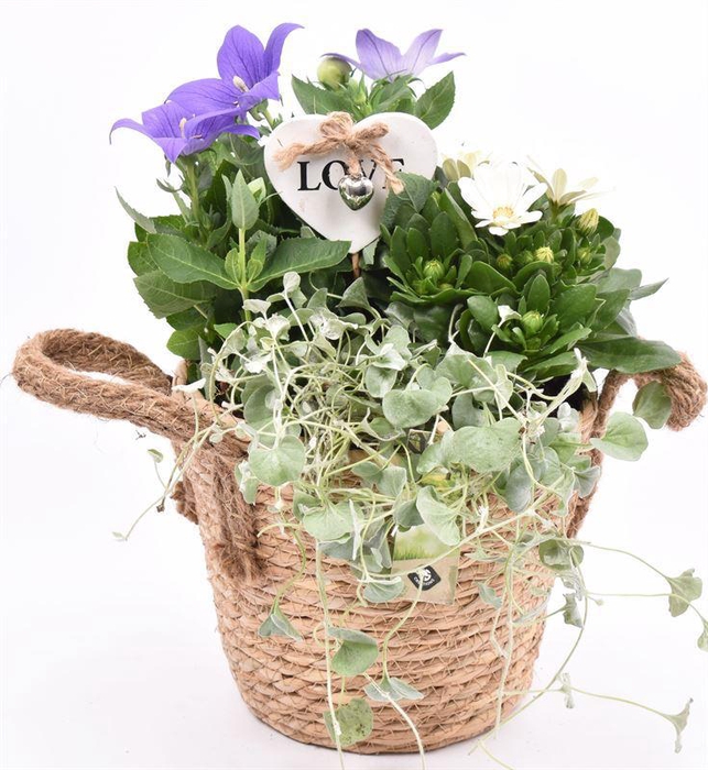 <h4>Touwmand met oor 18cm</h4>