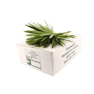 Palmetto X 35