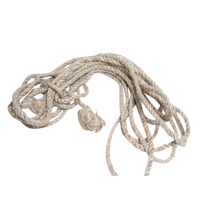 <h4>Rope Thick 10Mtr</h4>