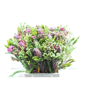 Protea Boeket