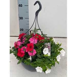 Perkpl Gem In Pot