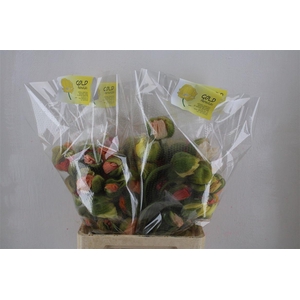 Papaver Mixed Super P Stem