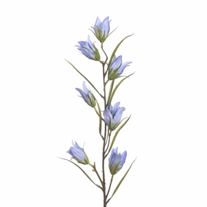 AF Campanula L94cm Blue