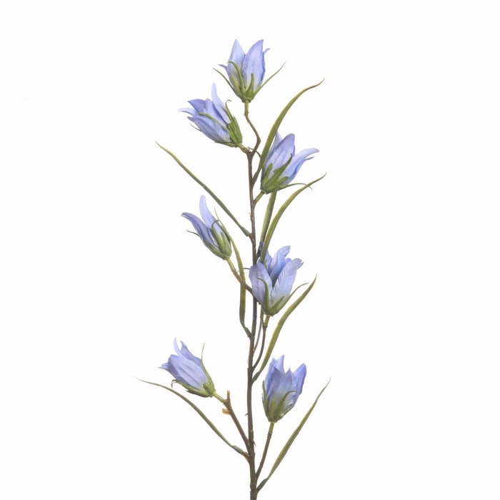 <h4>AF Campanula L94cm Blue</h4>