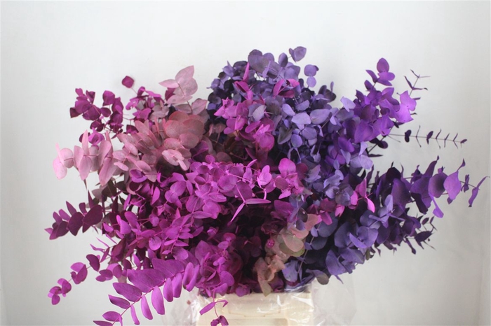 <h4>Euca Cinerea Mix Pink P Bunch</h4>