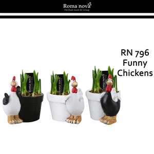 Narcis Rom 796  Funny Chickens