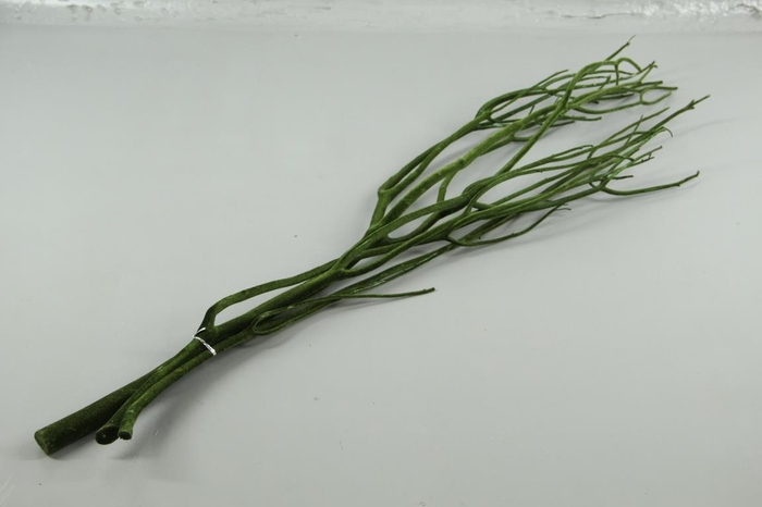 <h4>Mitsumata Flock D.Green Bs(3)</h4>