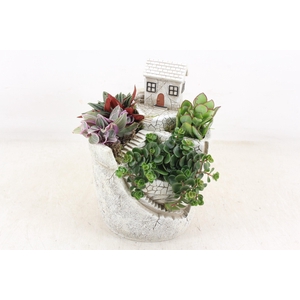 arr3 SN - Mountain villa L x3