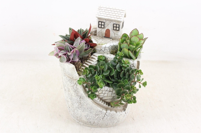 <h4>arr3 SN - Mountain villa L x3</h4>