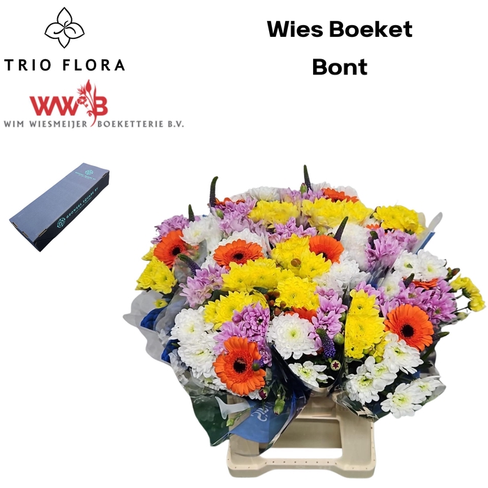 <h4>Boeket Wies L Box Bont</h4>