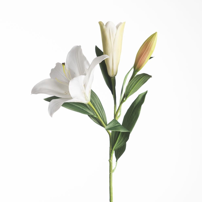 <h4>AF Lilium Spray x3 L94cm White</h4>