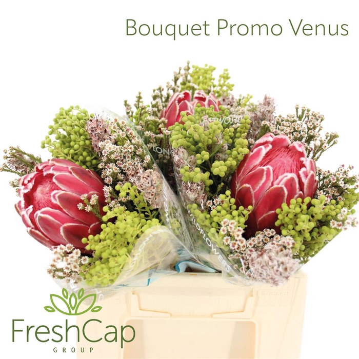 <h4>Bouquet Promo 1 Venus</h4>