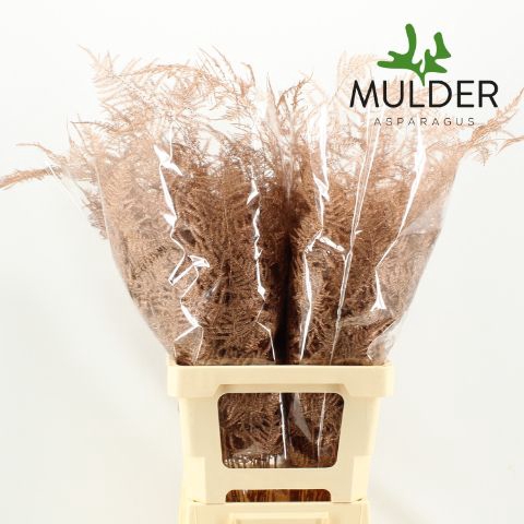 <h4>Snijgroen Koper Extra Veren</h4>