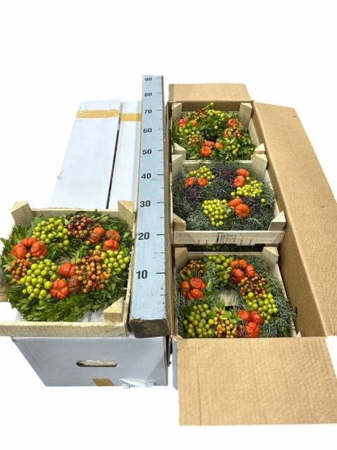 <h4>KRANS SIERFRUIT H%</h4>