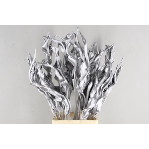 Df Strelitzia Leaf Silver