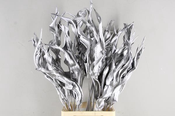 <h4>Df Strelitzia Leaf Silver</h4>