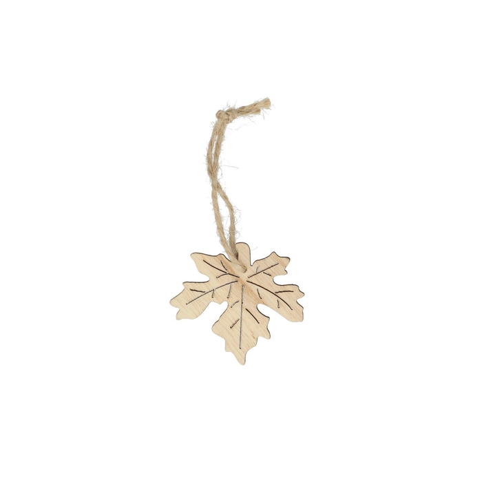 <h4>Autumn Deco hanging leaf 5cm x24</h4>