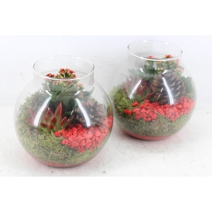 arr2 PL - Glas bol nek 285/6 - rood