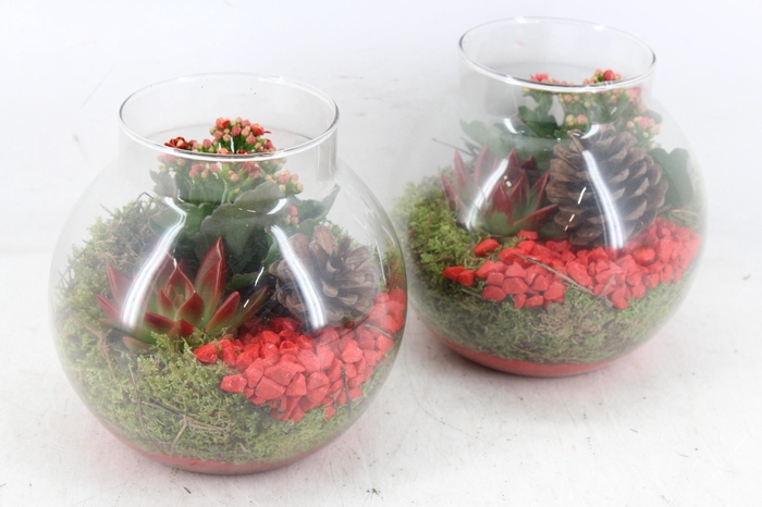 <h4>arr2 PL - Glas bol nek 285/6 - rood</h4>