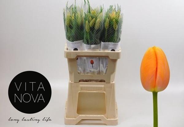 <h4>TU EN DORDOGNE</h4>