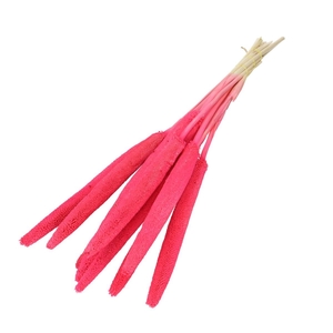 Droogbloem Bapala 65cm x10