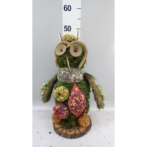 Decoratie  ..Vogelzaadfiguur  H%