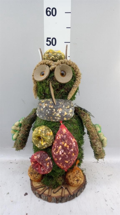 <h4>Decoratie  ..Vogelzaadfiguur  H%</h4>