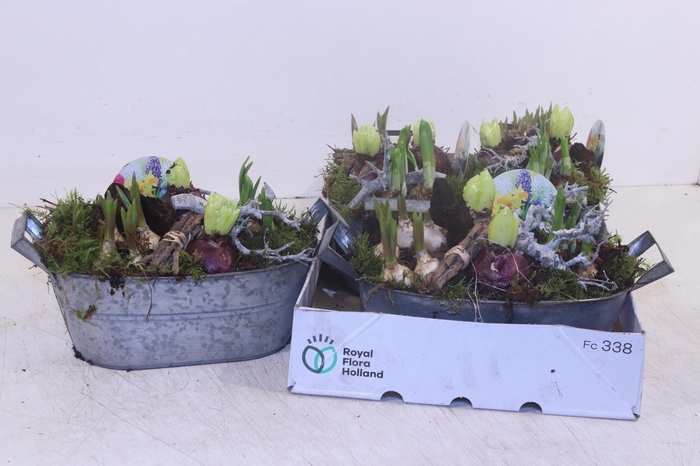 <h4>ARR BOL KNOLGEWAS</h4>