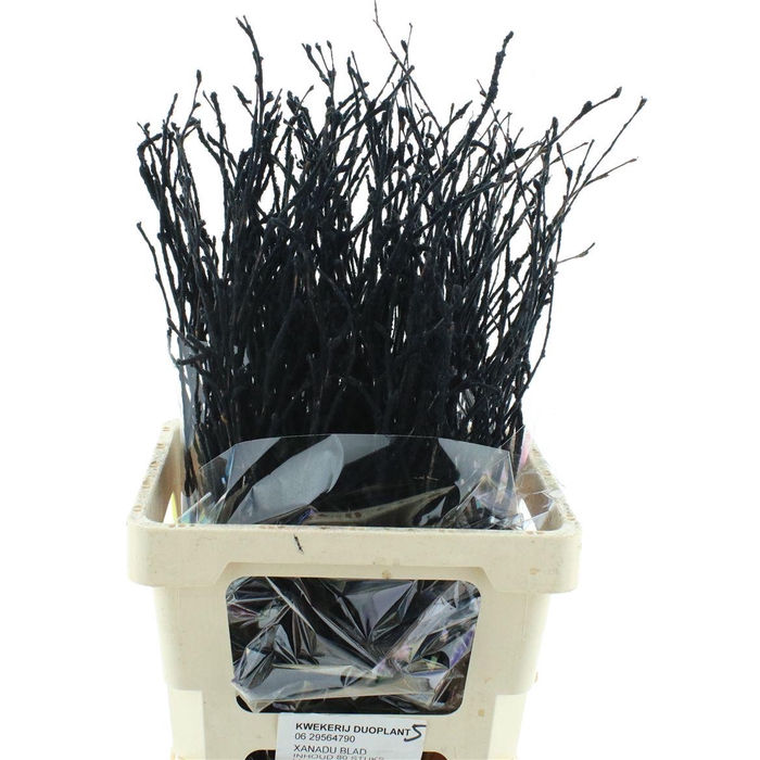 <h4>Berk Sneeuw Zwart 70cm</h4>