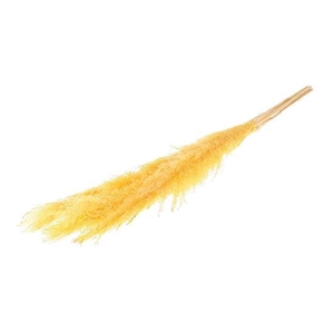 Bunch Gynerium 5 Pcs Slv L120