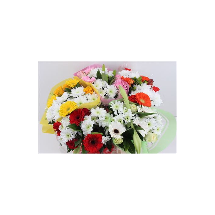 <h4>Boeket 3 Roos 3 Germini Mix</h4>