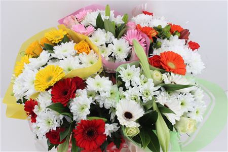 <h4>Boeket 3 Roos 3 Germini Mix</h4>