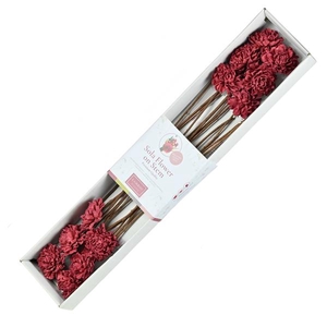 Sola Cridahlia 8cm O/s 12pc Dark Red